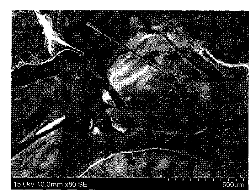 Method for preparing fiber reinforced foam glass