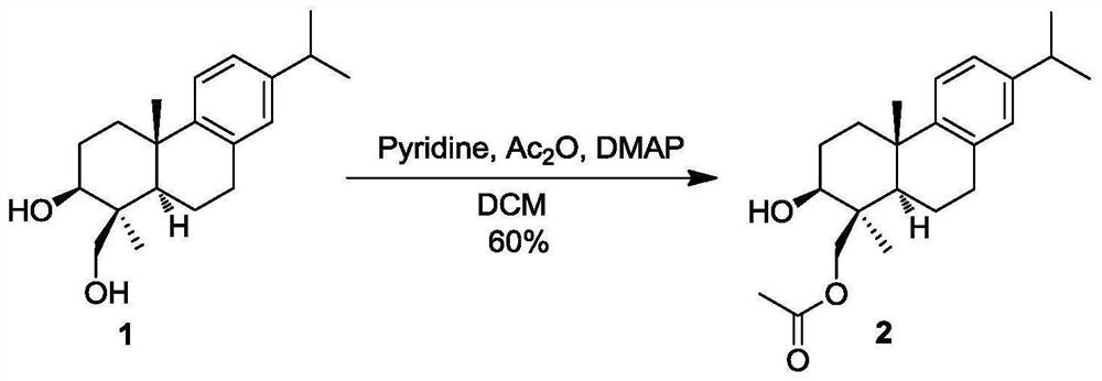 Semi-synthesis method of abietane diterpene and derivative thereof, abietane diterpene derivative and application