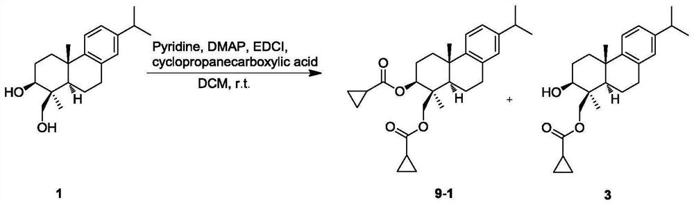 Semi-synthesis method of abietane diterpene and derivative thereof, abietane diterpene derivative and application