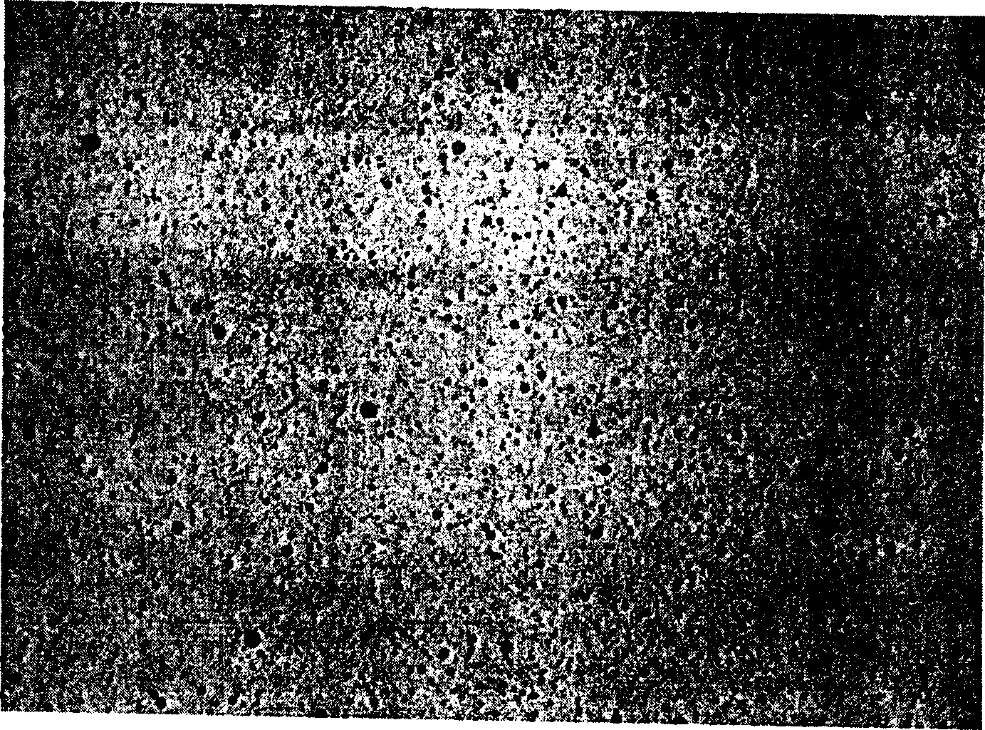 Method of preparing ultrasonic contrast agent using mechanical oscillation