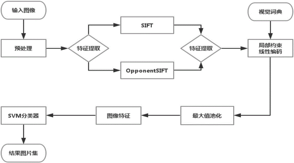 Chinese herbal medicine plant picture retrieval method based on multi-feature fusion BOW model