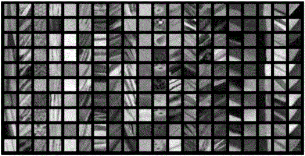 Chinese herbal medicine plant picture retrieval method based on multi-feature fusion BOW model