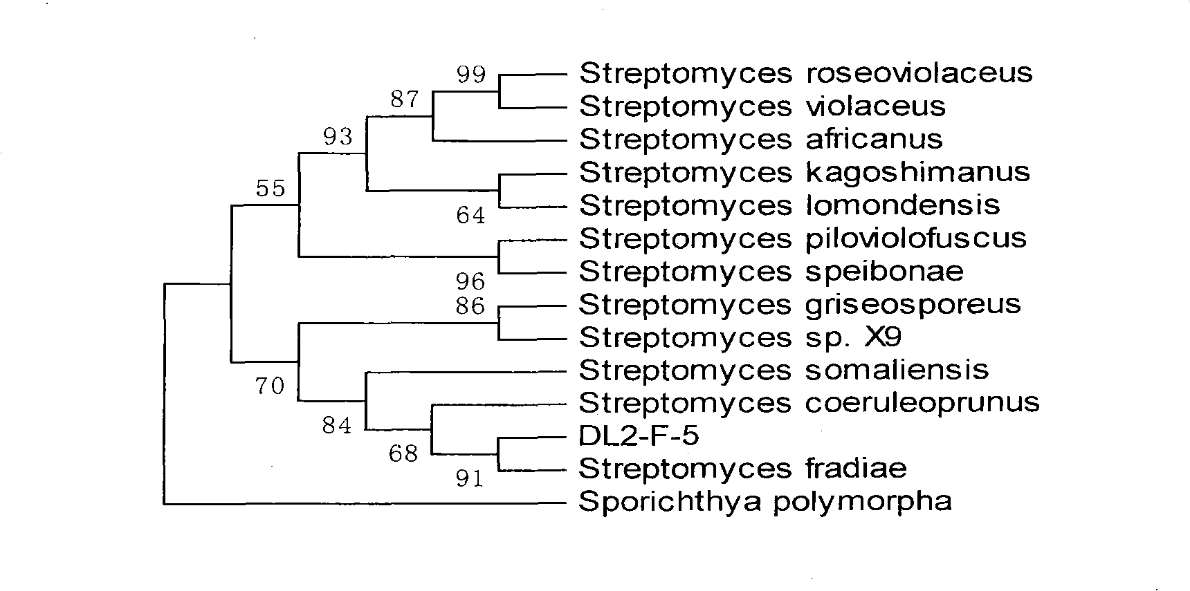 Novel microorganism and its gene fragment order and application