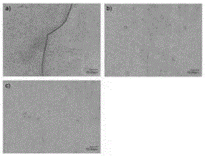 Intrinsic self-repairing recoverable polyurethane polymer, and preparation method and application thereof