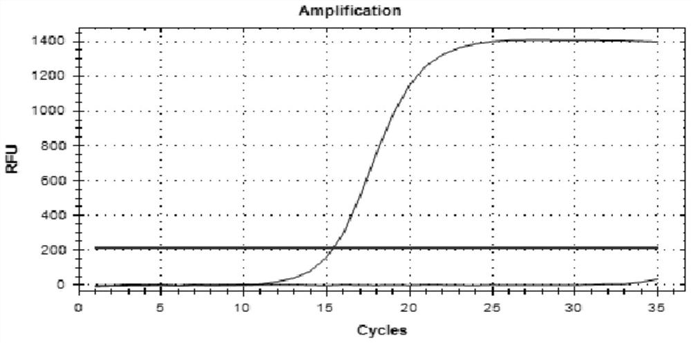 PCR primers, PCR methods and kits for detecting Staphylococcus cocci