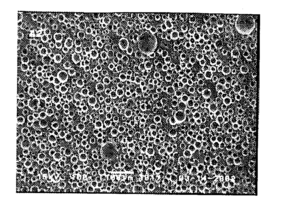 Method for manufacturing auxiliary gas-adding polyurethae/polyurethane-urea polishing pad