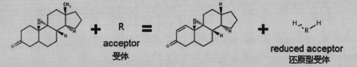 3-ketosteroid -delta 1-dehydrogenase, engineering bacterium and application thereof