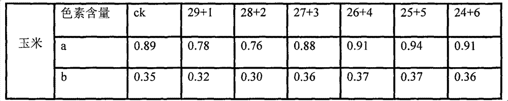 Application of mixed turf matrix in improving content of festuca arundinacea pigment