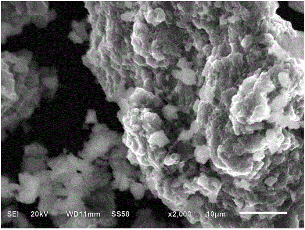 Preparation method of multistage structure tungsten particle reinforced aluminum base composite material