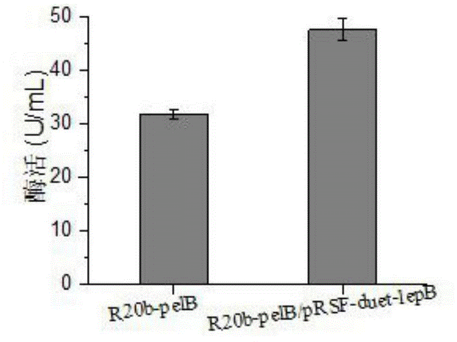 Method for improving secretory expression of L-asparaginase