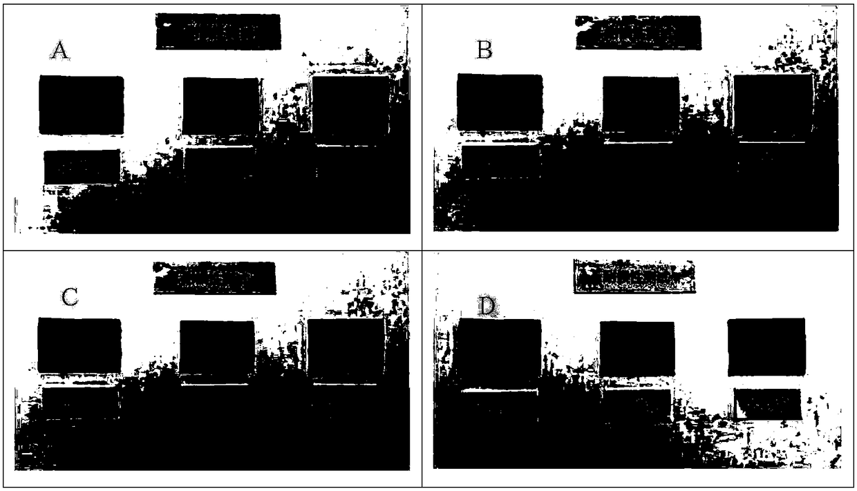 Microencapsulated photochromic powder resistant to weather for long time and preparation method thereof