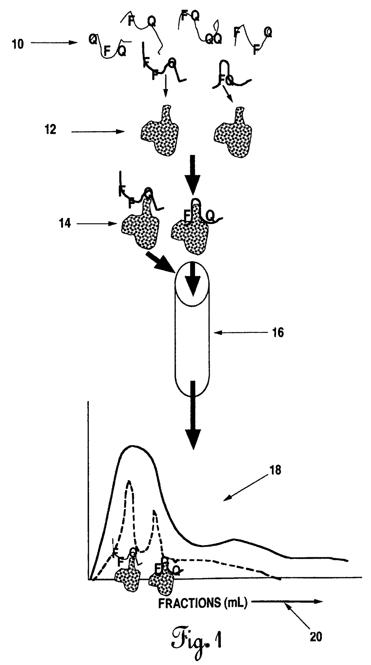 Methods of producing intrachain fluorophore-quencher FRET-aptamers and assays