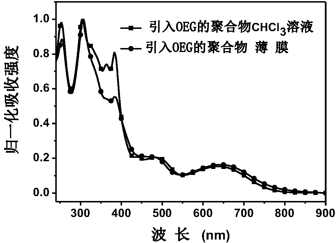 Amphipathic conjugated polymer and production method and application thereof