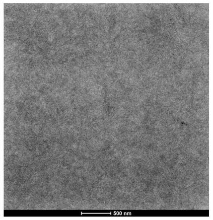 Amphipathic conjugated polymer and production method and application thereof