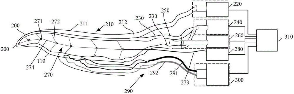 Organ Information Simulation System for TCM Training