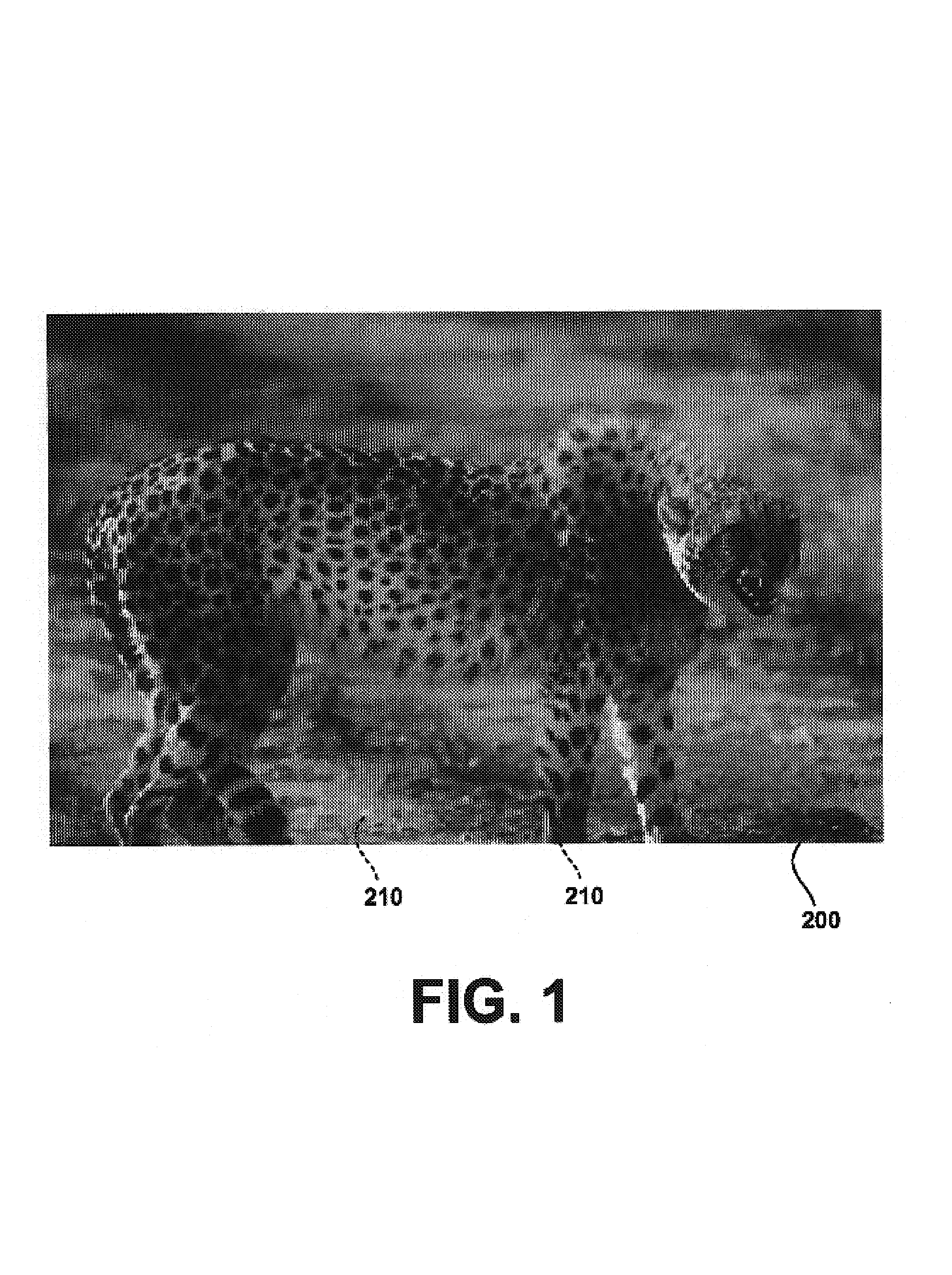 Methods and system for providing image object boundary definition by particle filtering