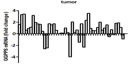 Real-time fluorescence quantitative PCR detection kit for quantitative detection of GGPPS1 genes, detection method and application