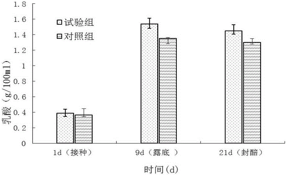 Lactobacillus helveticus strain and applications thereof