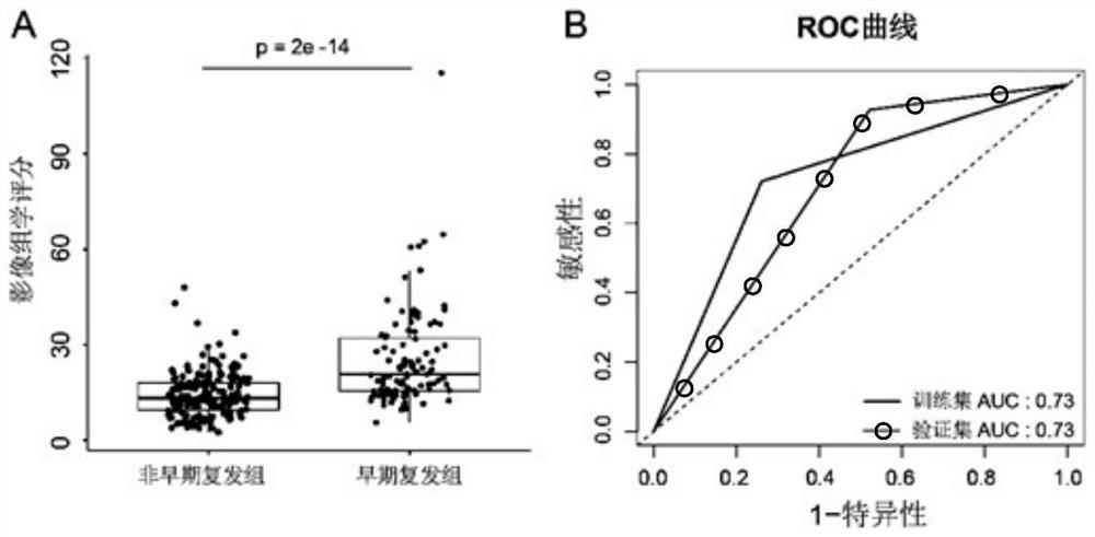 Method and device for constructing postoperative early recurrence prediction model of liver cancer