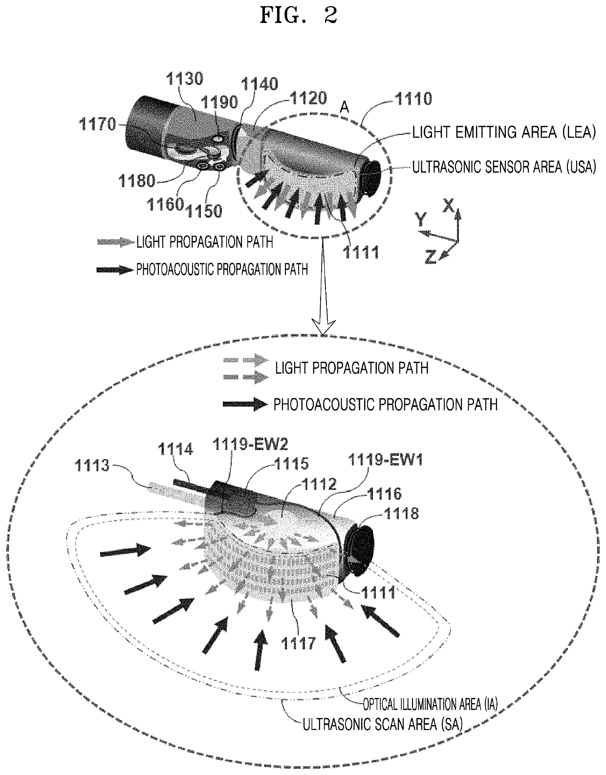 Array transducer-based side-scanning photoacoustic-ultrasonic endoscope