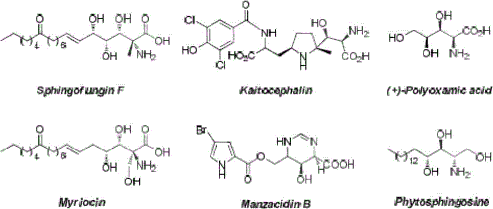 Optically active α-amino β-hydroxyamino acid derivatives and preparation method and application thereof