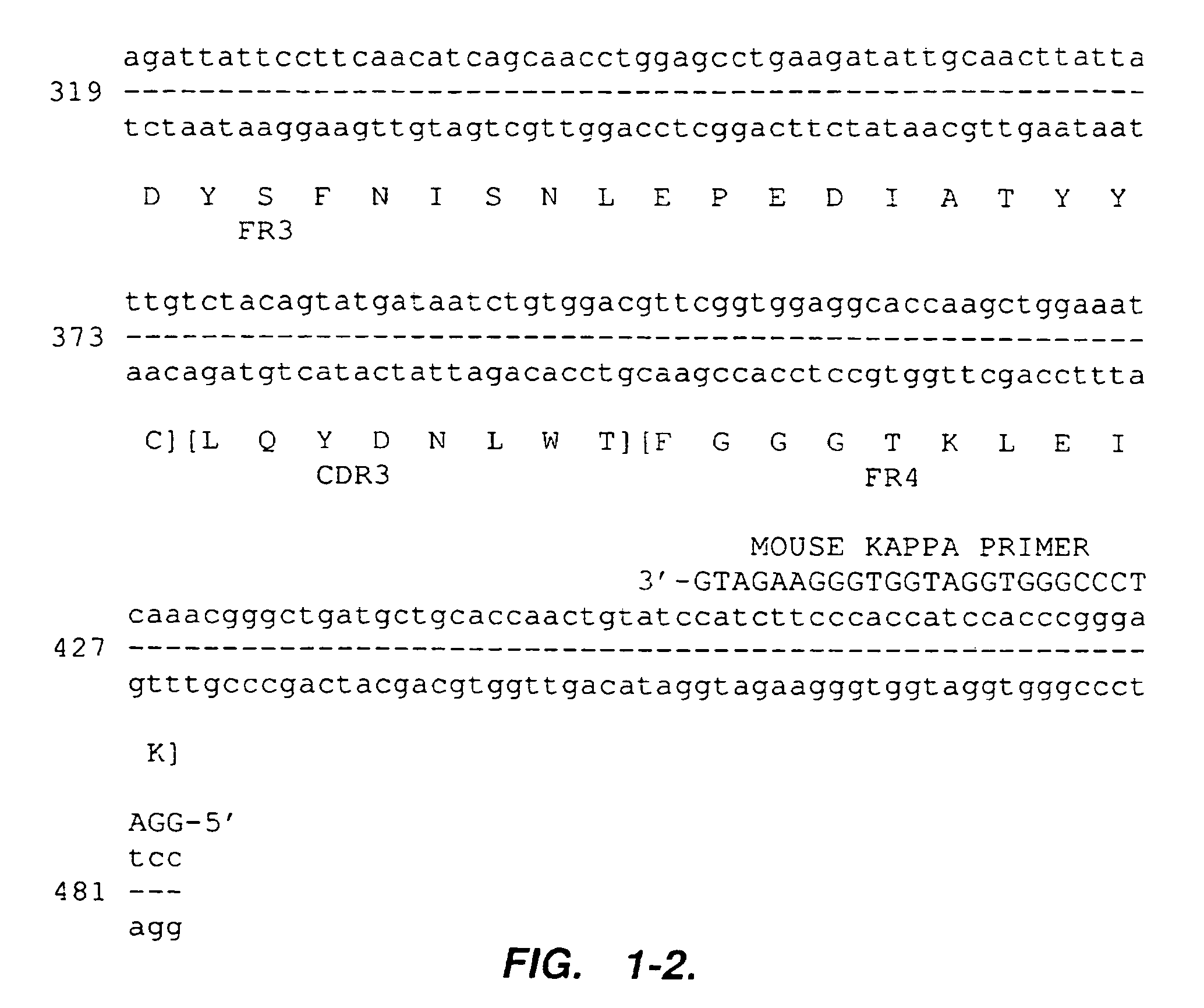 Humanized anti-VLA4 immunoglobulins