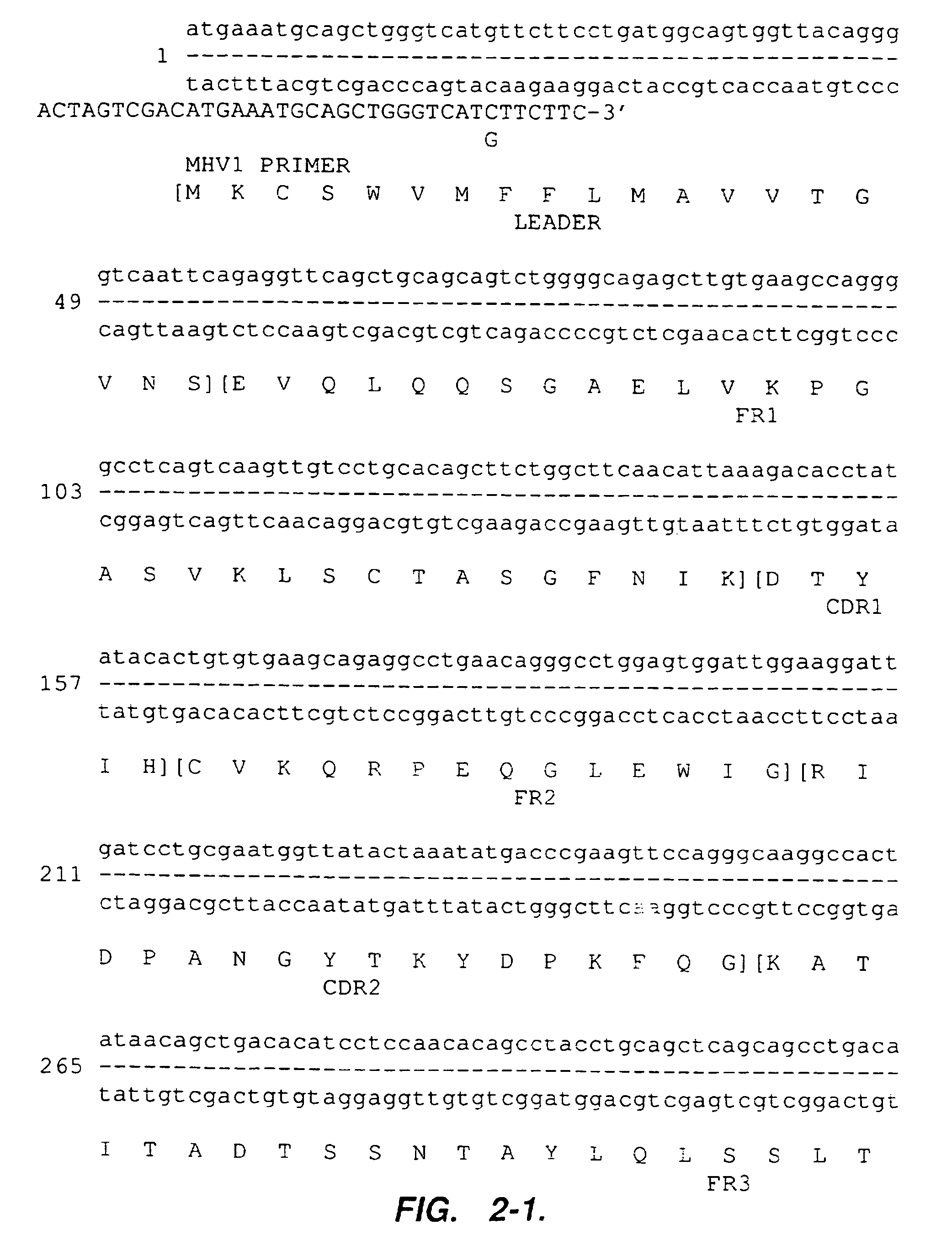 Humanized anti-VLA4 immunoglobulins