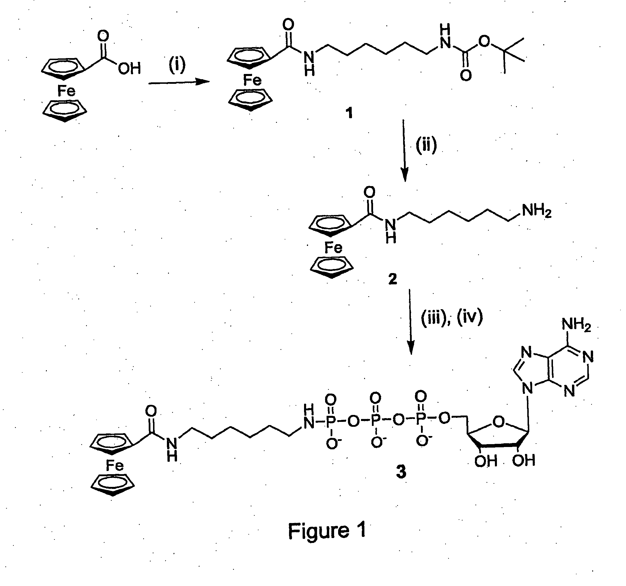 Nucleotide triphosphate with an electroactive label conjugated to the gamma phosphate