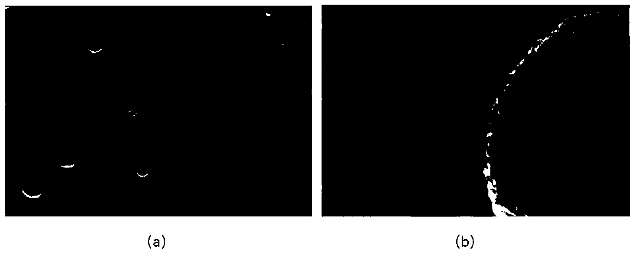 Nanometer metal-organic carboxylic acid complex colloid collector and production and application as metallic mineral flotation collector thereof