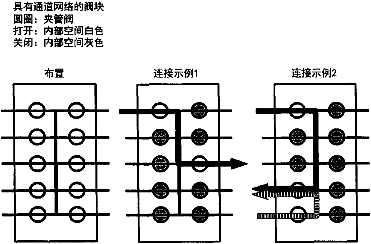 Arrangement for an individualized patient blood analysis