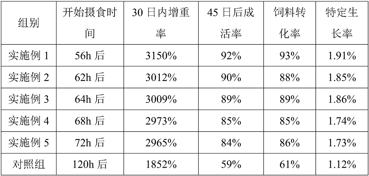 Starter feed for leopard coral groupers and preparation method of starter feed