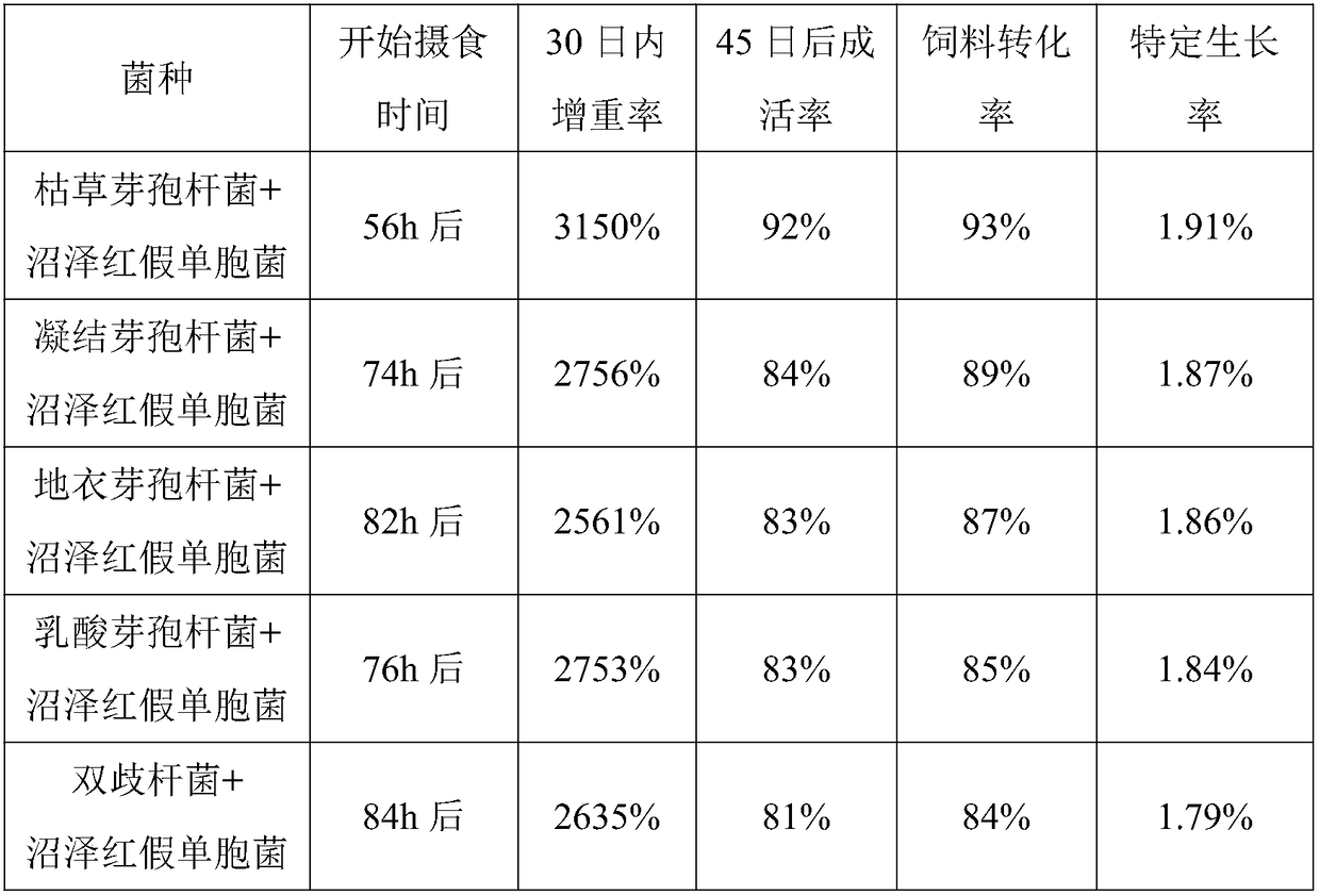 Starter feed for leopard coral groupers and preparation method of starter feed