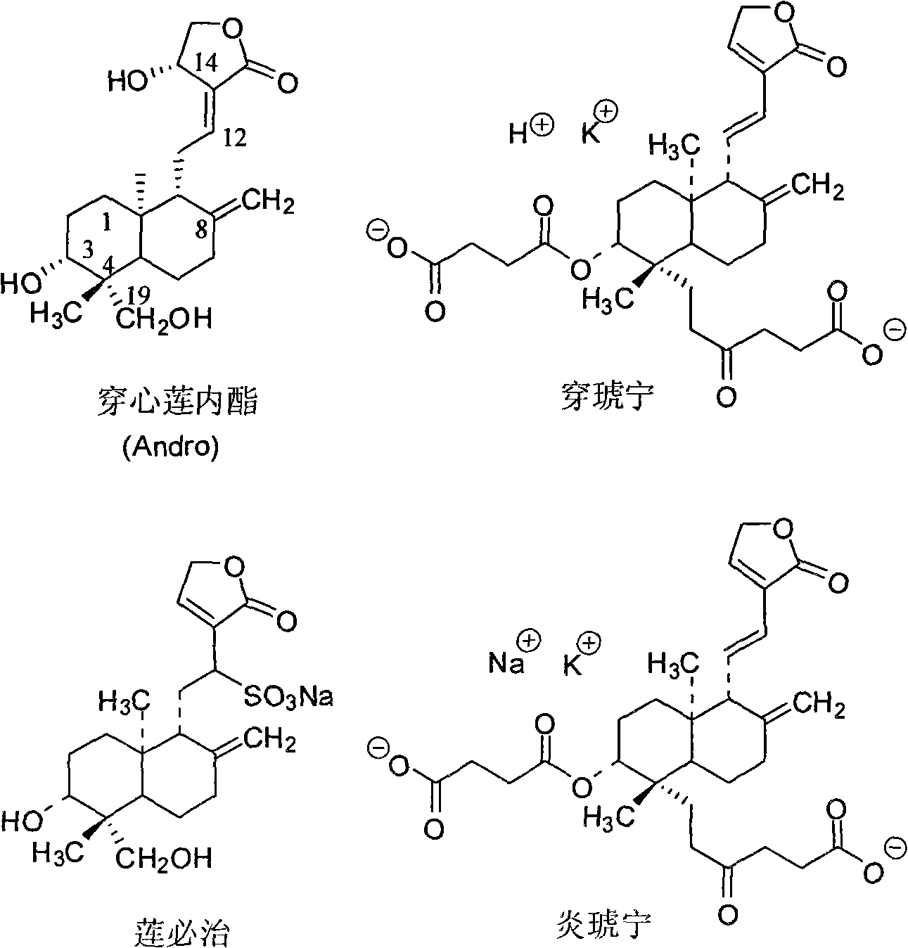 Andrographolidume composition and application thereof