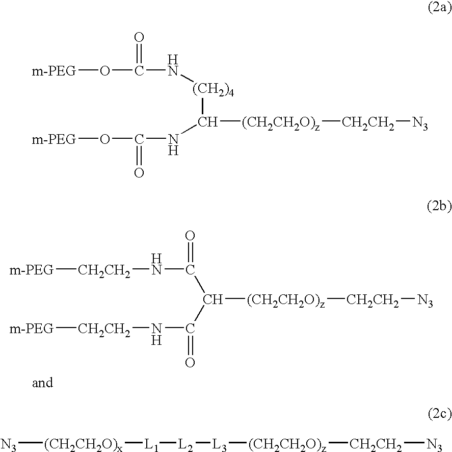 Methods of preparing polymers having terminal amine groups