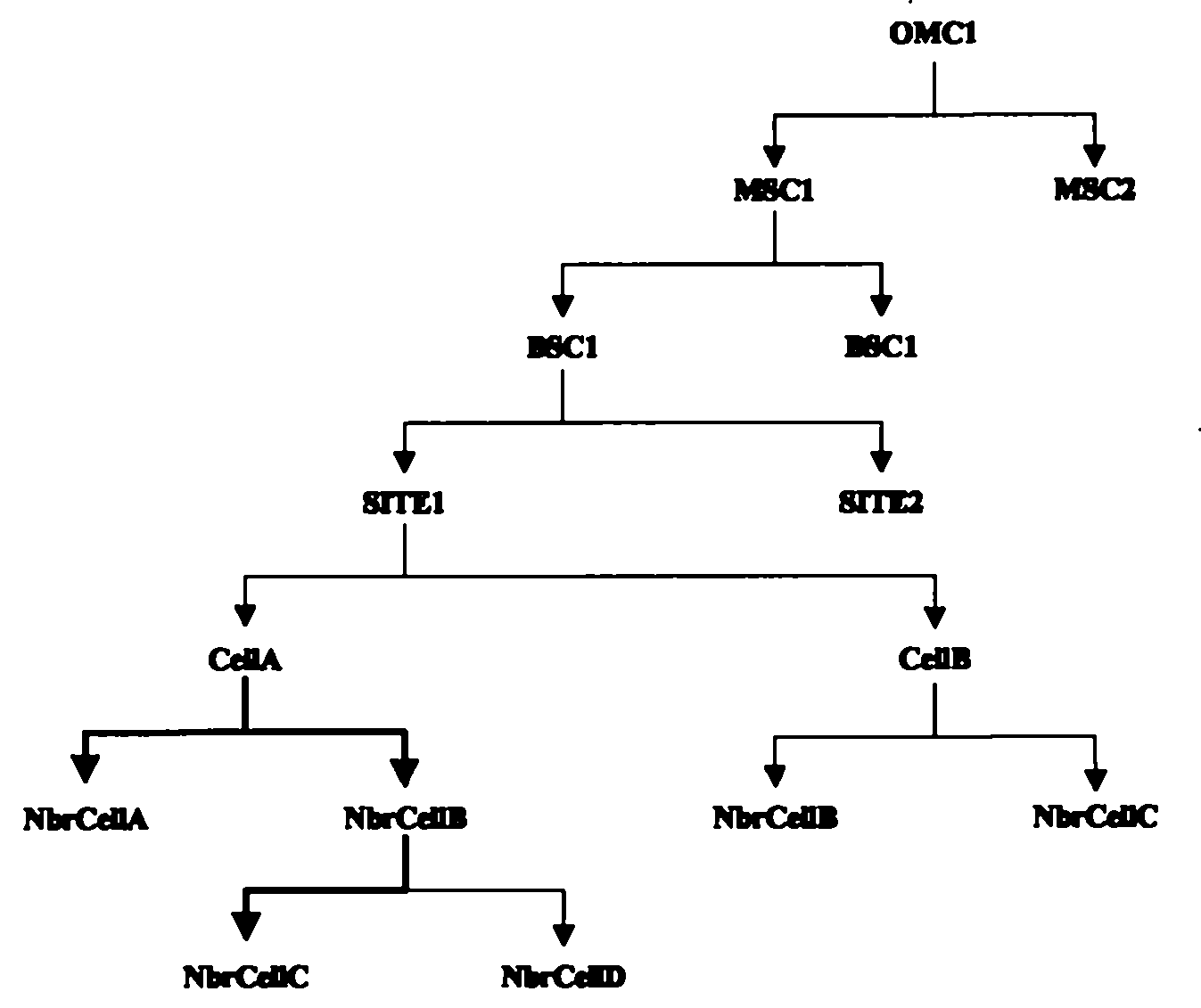 Method and apparatus for analyzing network performance and locating network fault