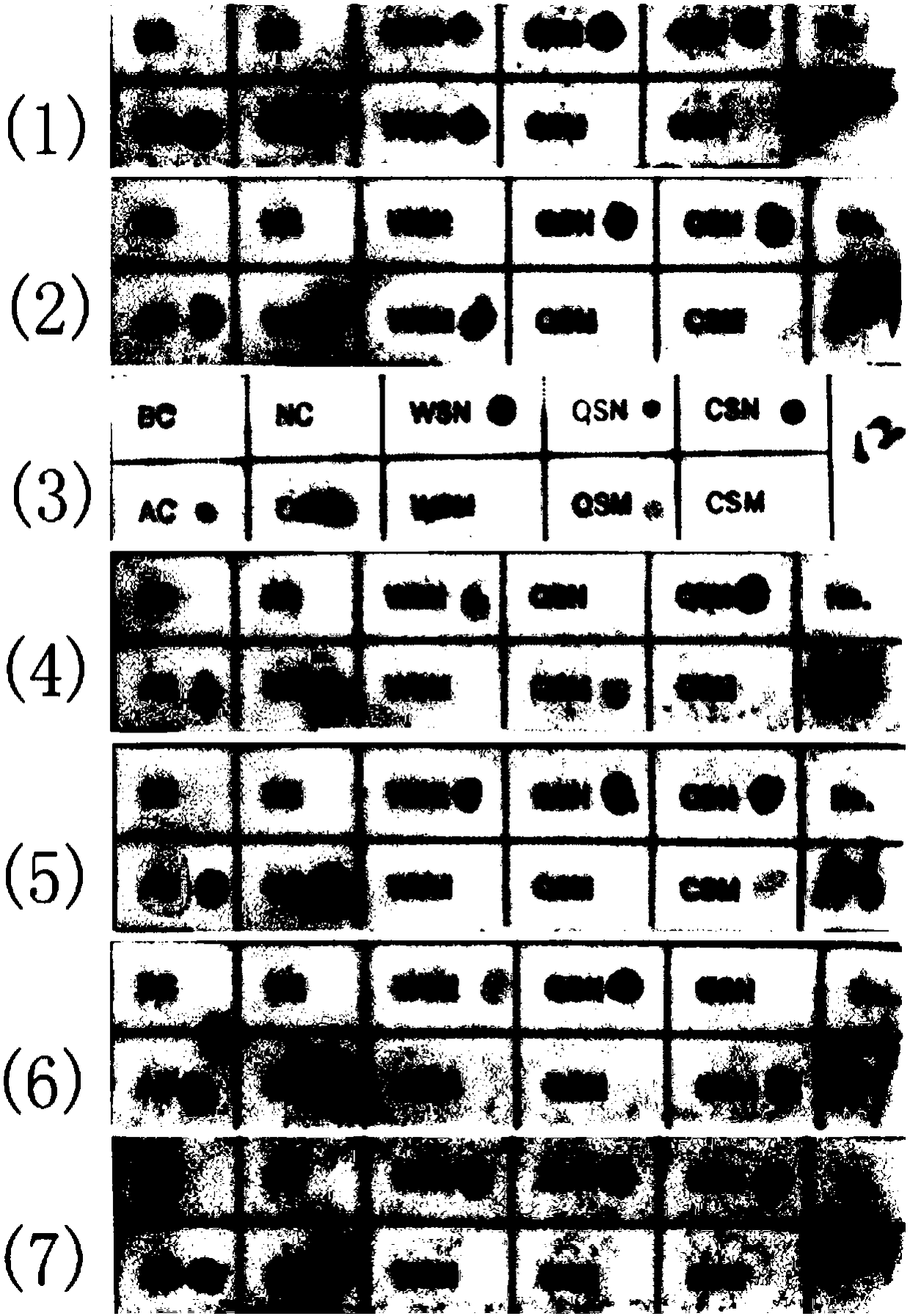 Chip and kit for detecting non-deletion alpha-thalassemia