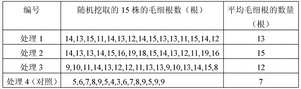 Vegetal seedling-culturing and root-strengthening nutritive solid water, preparation method and application thereof