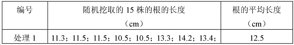 Vegetal seedling-culturing and root-strengthening nutritive solid water, preparation method and application thereof