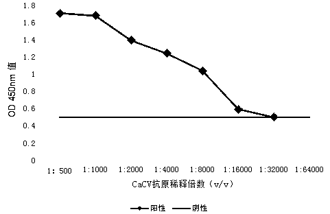 Serology method for rapidly detecting capsicum chlorosis virus