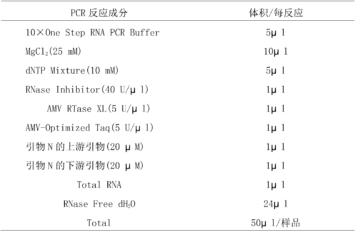 Serology method for rapidly detecting capsicum chlorosis virus