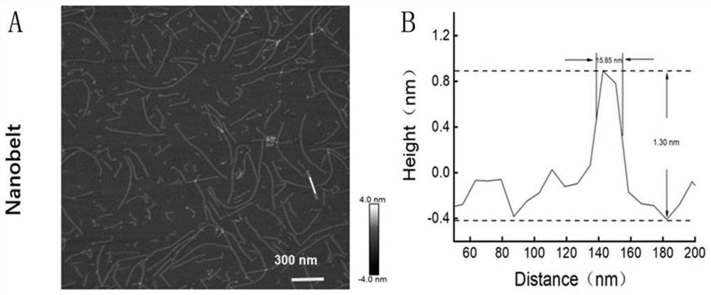 Multivalent aptamer functionalized DNA nano-structure probe as well as preparation method and application thereof