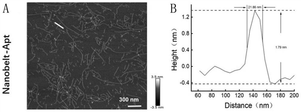 Multivalent aptamer functionalized DNA nano-structure probe as well as preparation method and application thereof