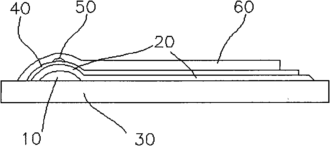 Thermal print head and preparation method thereof