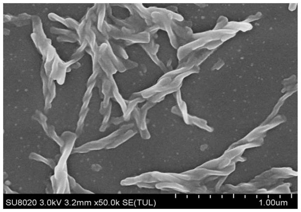 Organic lithium soap composite urea-based lubricating grease and preparation method thereof