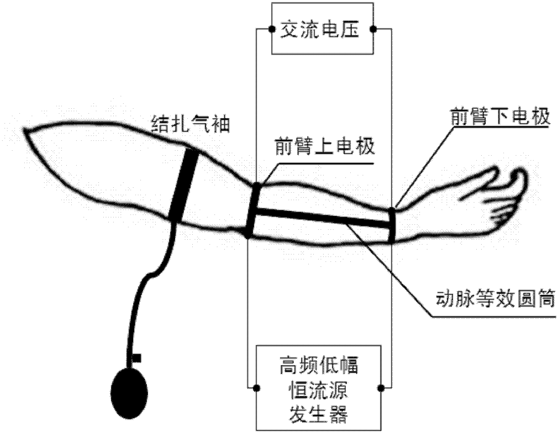 Electrical impedance detector for artery endothelial functions of arteries and method