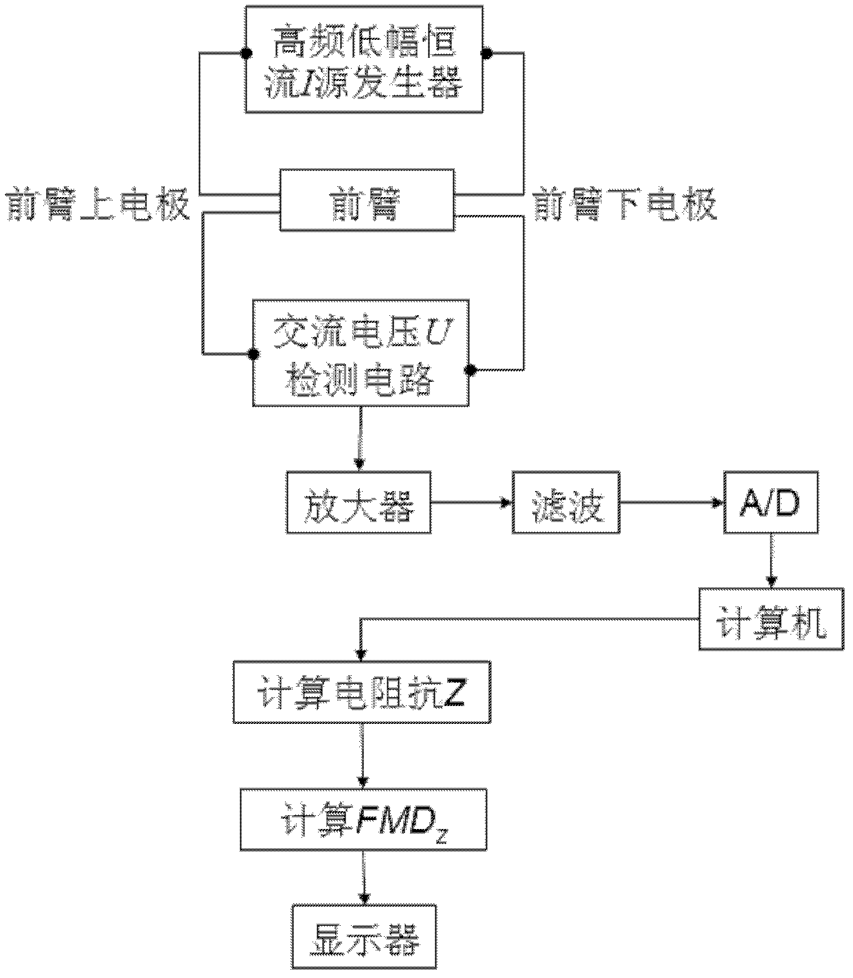 Electrical impedance detector for artery endothelial functions of arteries and method