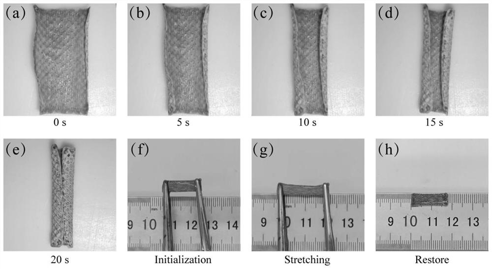 3D-printed high-conductivity healing-promoting multichannel nerve conduit and preparation method and application thereof