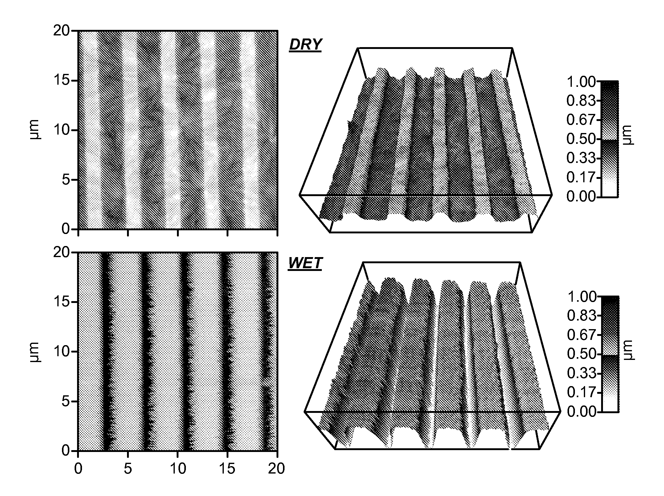 Synthesis of nanotopographic biomimetic membranes for tissue culture, engineering and prosthetics applications