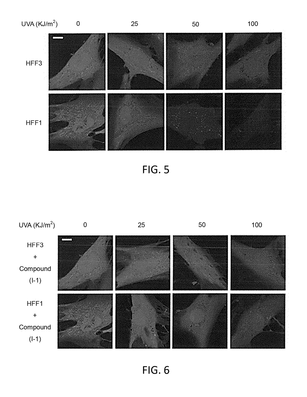 Method of protecting skin from ultraviolet radiation