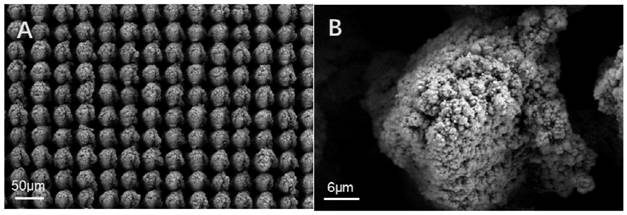 Columnar copper array current collector and preparation method and application thereof